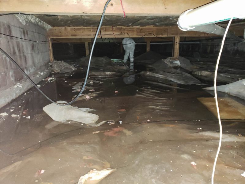 Sealed Crawlspace Wall and Floor